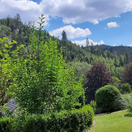 Schwaben بيت ضيافة Schonmunzach