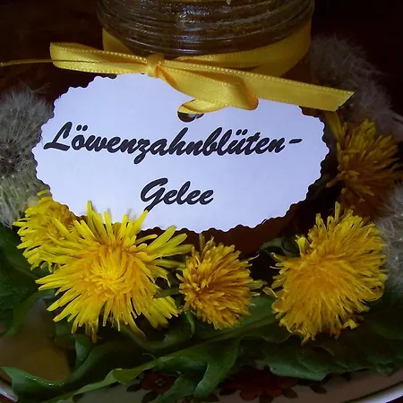 Schwaben 3* Schonmunzach