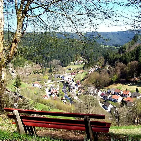 بيت ضيافة Schwaben Schonmunzach