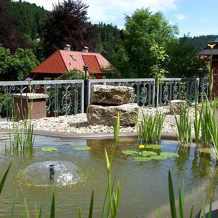 Schwaben Schonmunzach