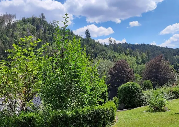 Schwaben Gæstehus Schonmunzach