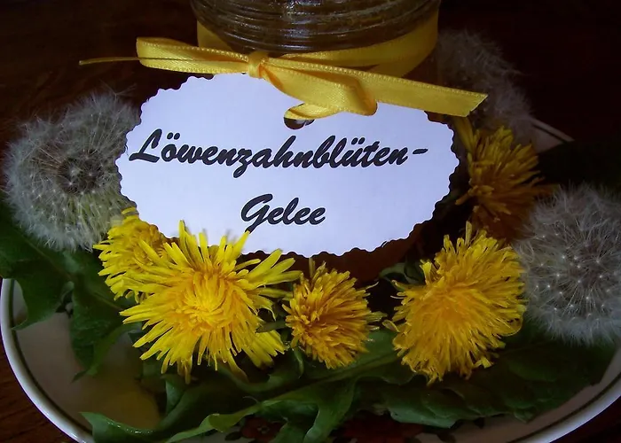 Schwaben 3* Schonmunzach